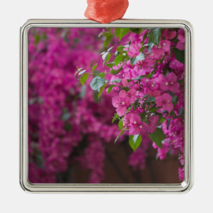 Italien, Sizilien, Cefalu, Blumenreicher Hof bei Silbernes Ornament