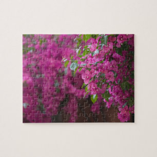 Italien, Sizilien, Cefalu, Hof von Flower Puzzle