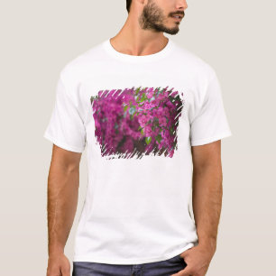 Italien, Sizilien, Cefalu, Hof von Flower T-Shirt