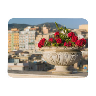 Italien, Sizilien, Termini Imerese, View & Blume Magnet