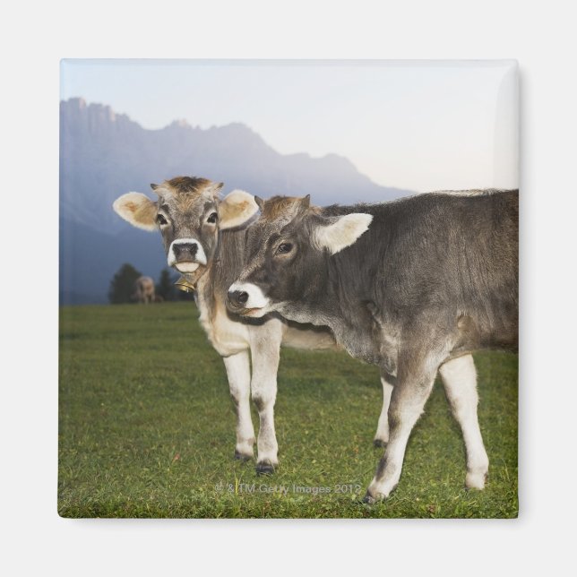 Italien, Südtirol Magnet (Vorne)