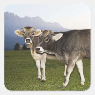 Italien, Südtirol Quadratischer Aufkleber
