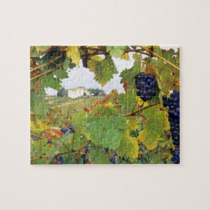 Italien, Toskana Bauernhaus durch Puzzle