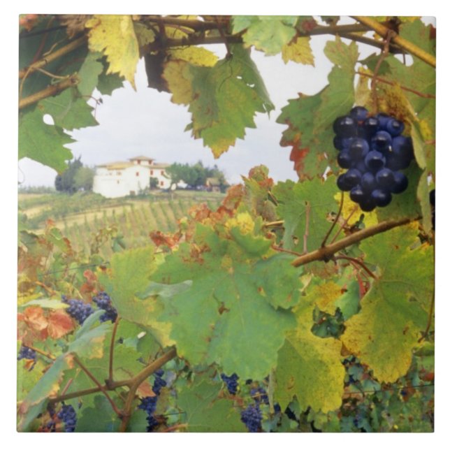 Italien - Toskana Bauernhof durch Fliese (Vorderseite)