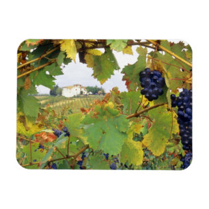 Italien - Toskana Bauernhof durch Magnet