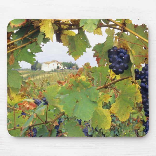 Italien - Toskana Bauernhof durch Mousepad (Vorne)