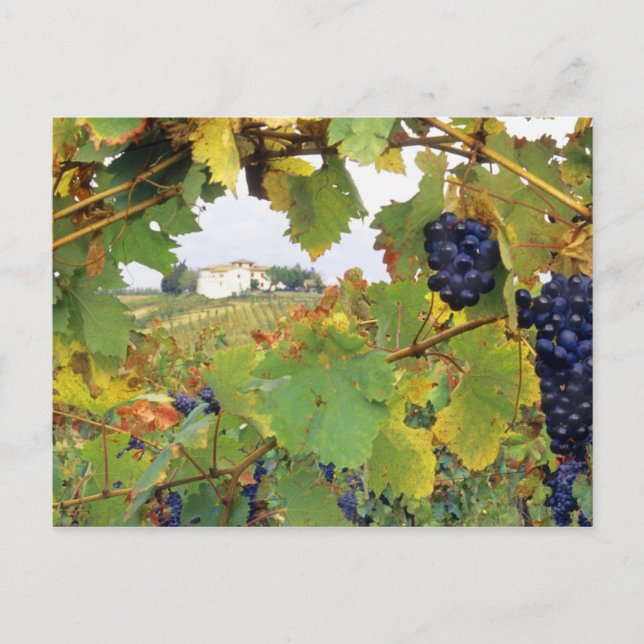 Italien - Toskana Bauernhof durch Postkarte (Vorderseite)