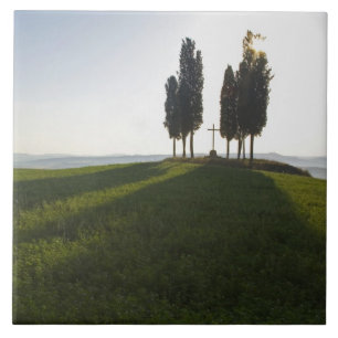 Italien, Toskana, Cypress Trees in der Toskana mit Fliese