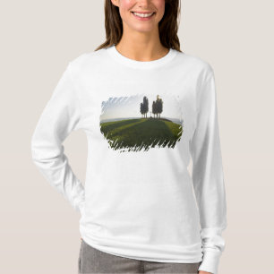 Italien, Toskana, Cypress Trees in der Toskana mit T-Shirt