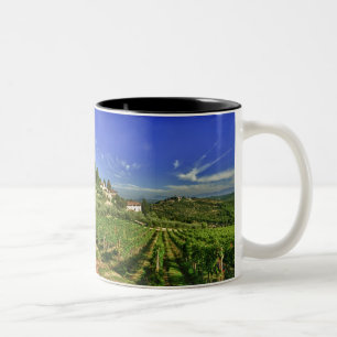 Italien, Toskana, Greve. Die Weinberge von Zweifarbige Tasse
