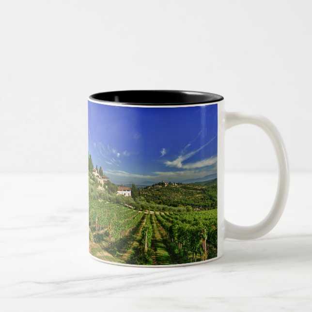 Italien, Toskana, Greve. Die Weinberge von Zweifarbige Tasse (Rechts)