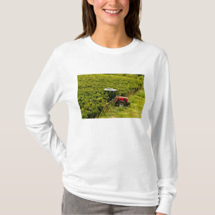 Italien, Toskana, Greve. Erntehelfer bei der Arbei T-Shirt