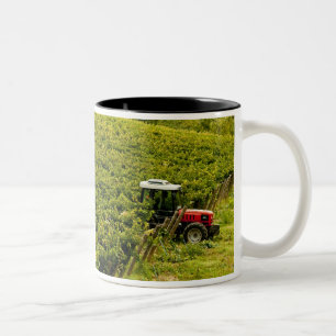 Italien, Toskana, Greve. Erntehelfer bei der Arbei Zweifarbige Tasse