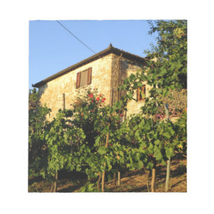 Italien, Toskana, Greve. Späte Sommerweinszenen Notizblock