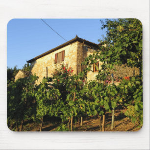Italien, Toskana, Greve. Spätere Sommertöne Mousepad