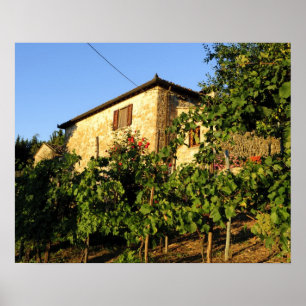 Italien, Toskana, Greve. Spätere Sommertöne Poster