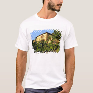 Italien, Toskana, Greve. Spätsommer-Weinszenen T-Shirt