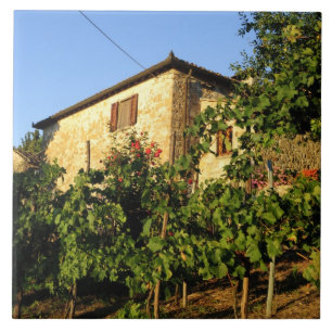 Italien, Toskana, Greve. Weinlandschaft im Spätsom Fliese