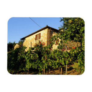 Italien, Toskana, Greve. Weinlandschaft im Spätsom Magnet