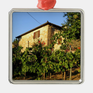 Italien, Toskana, Greve. Weinlandschaft im Spätsom Silbernes Ornament