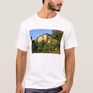 Italien, Toskana, Greve. Weinlandschaft im Spätsom T-Shirt