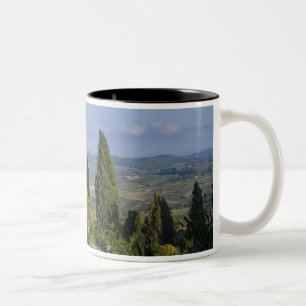 Italien, Toskana, Montepulciano. Blick auf die Zweifarbige Tasse