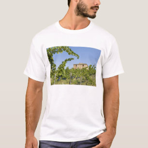 Italien, Toskana, Montepulciano. Weintrauben berei T-Shirt