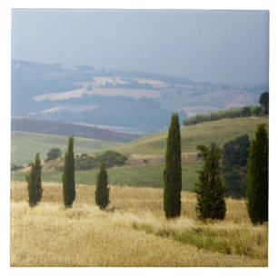 Italien. Toskana. Pienza. Fliese
