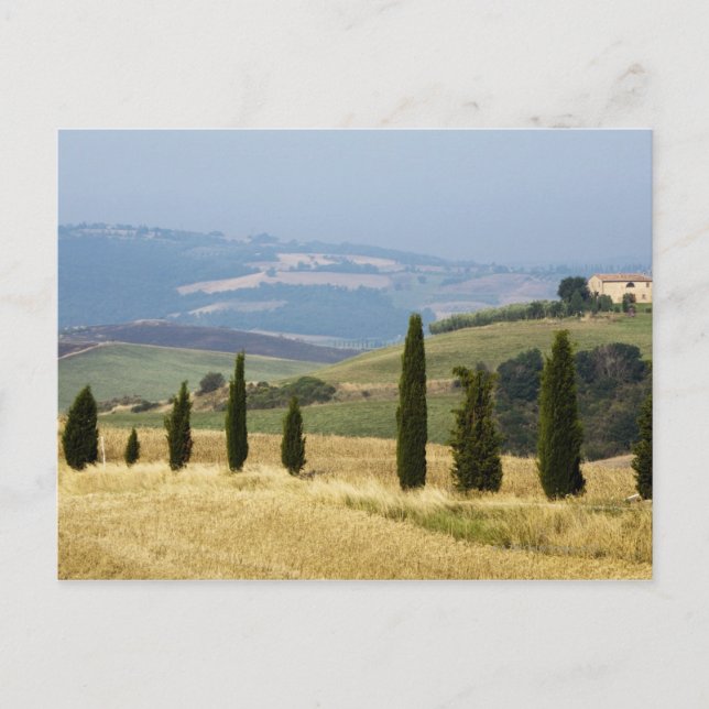Italien. Toskana. Pienza. Postkarte (Vorderseite)