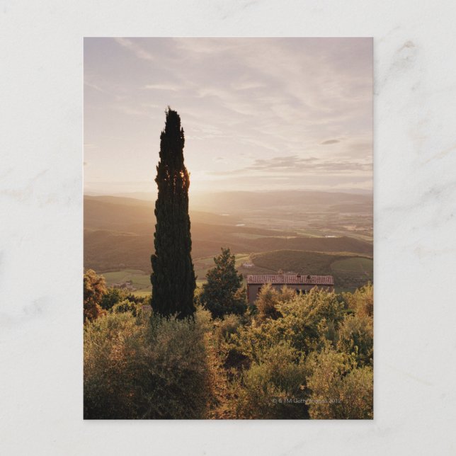 Italien, Toskana, Val d'Orcia, Montalcino Postkarte (Vorderseite)