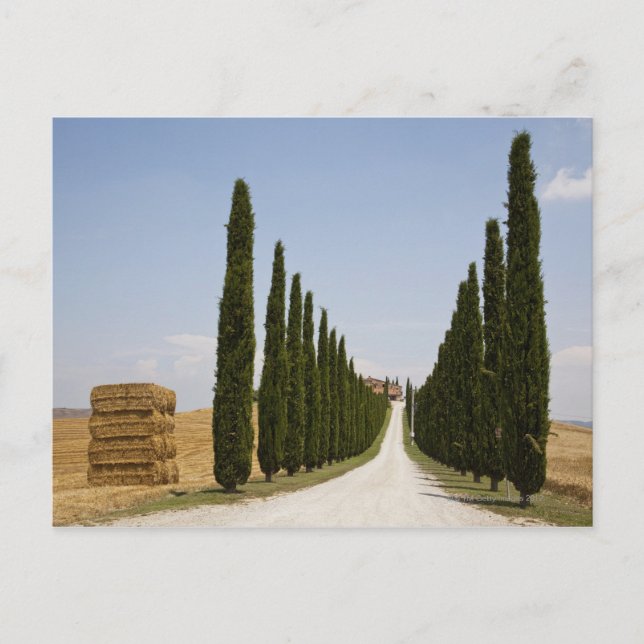 Italien. Toskana. Val d'Orcia (Orcia-Tal) 3 Postkarte (Vorderseite)