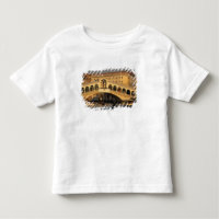 Italien, Venedig, Venedig, Canal Grande und Rialto