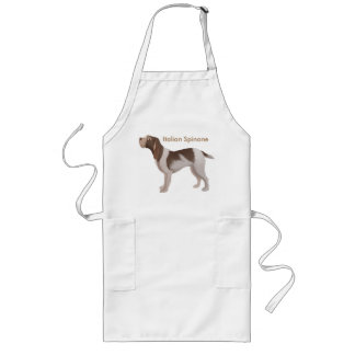 Italiener Spinone lange Schürze