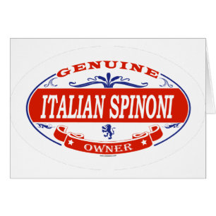 Italiener Spinoni