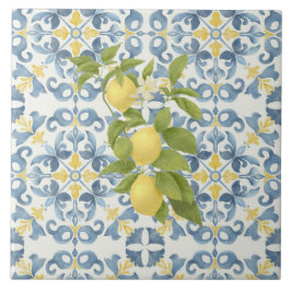 Italienisch Blue Tile Fliese