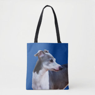 Italienisch Greyhound