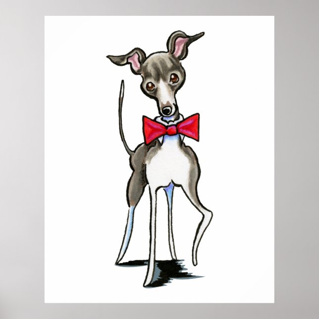 Italienisch Greyhound Antonio Poster (Vorne)