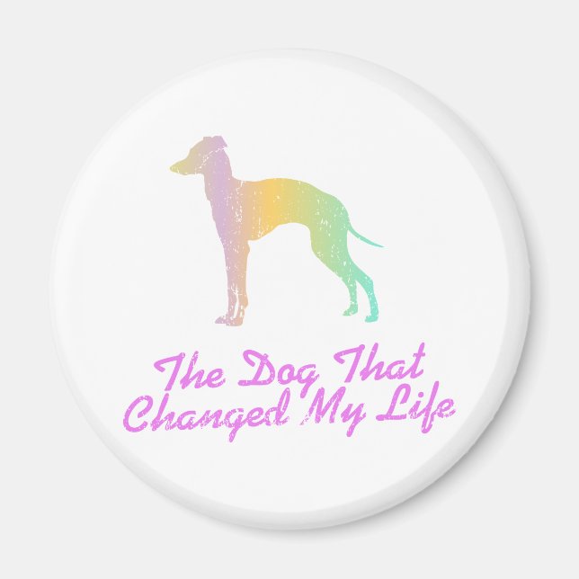 Italienisch Greyhound Magnet (Vorne)