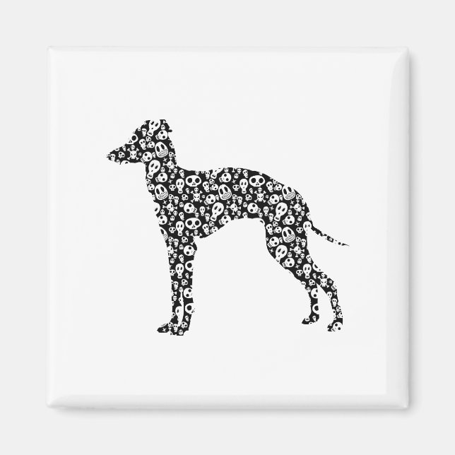 Italienisch Greyhound Magnet (Vorne)