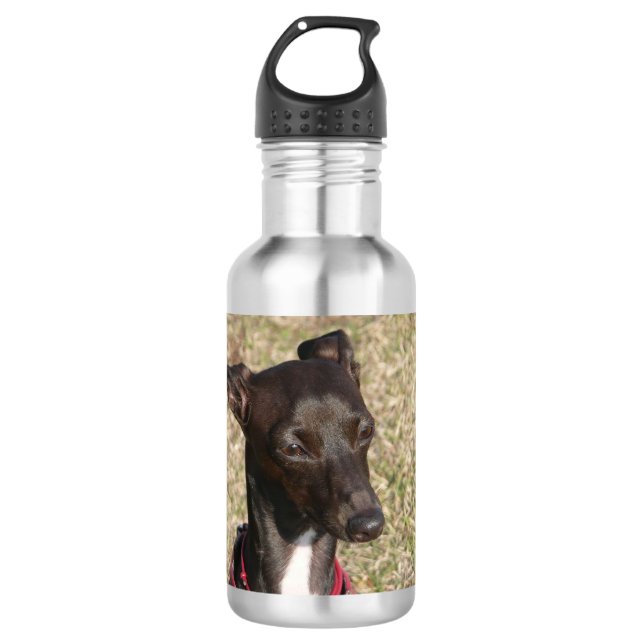 Italienisch greyhound.png trinkflasche (Vorderseite)