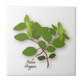Italienisch Oregano Keramik Locarno Fliese