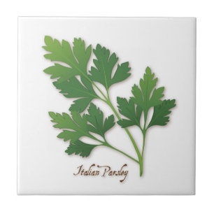 Italienisch Parsley Herb Tile Fliese