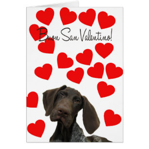 Italienisch San Valentino Glossy Grizzi