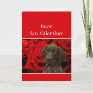Italienisch San Valentino Glossy Grizzi Feiertagskarte