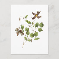 Italienische Blume aus Leder (Clematis) von Redout