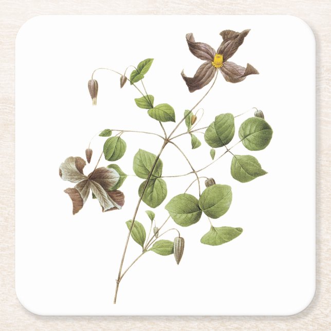 Italienische Blume aus Leder (Clematis) von Redout Rechteckiger Pappuntersetzer (Vorderseite)