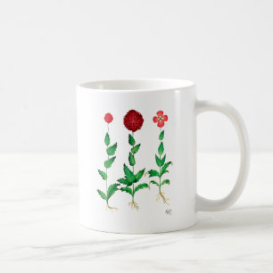 Italienische Gartennelke 2 Tasse