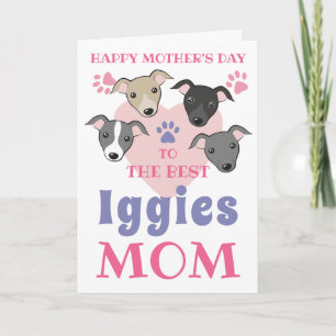 Italienische Greyhound Dog Mama Niedlich Iggies Cu Karte