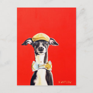 Italienische Greyhound Dog Postcard - Harry Postkarte
