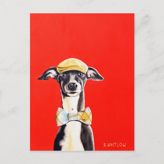 Italienische Greyhound Dog Postcard - Harry Postkarte (Vorderseite)